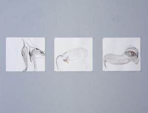 Untitled, 2006, Ink on paper, 24X34 cm each