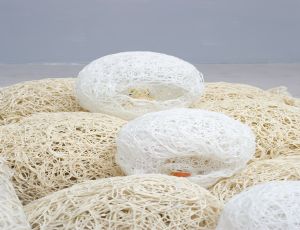 Untitled, 2007, thread, string & plastic glue, detail