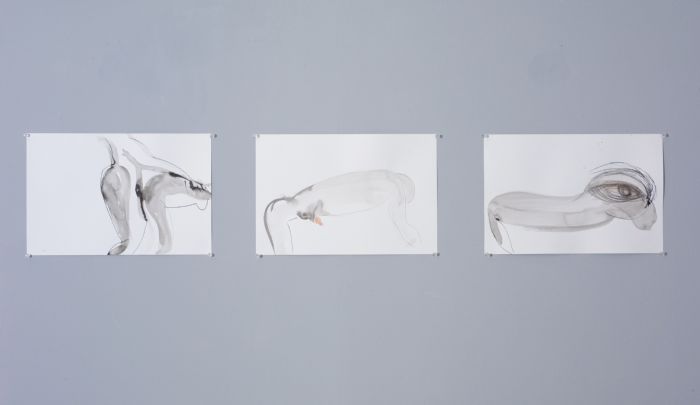 Untitled, 2006, Ink on paper, 24X34 cm each