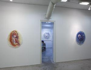 Biomorphic, 2009, Installtion View , Chelouche Gallery Tel Aviv