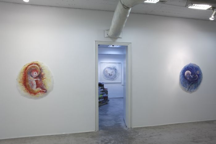 Biomorphic, 2009, Installtion View , Chelouche Gallery Tel Aviv