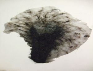 Untitled, 2010, crushed charcoal and hair on plastic glue, 103X89 cm