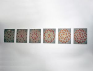 Untitled, 1999, Color Photograph, 41X41 cm each	