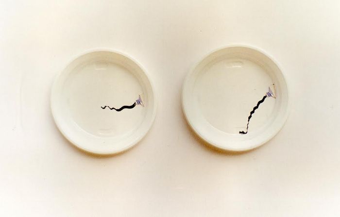 Untitled, 1999, Marker Pen on Disposable Plastic Plate, 16.5 cm each