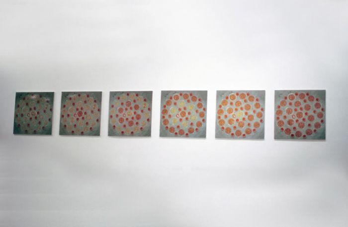 Untitled, 1999, Color Photograph, 41X41 cm each	